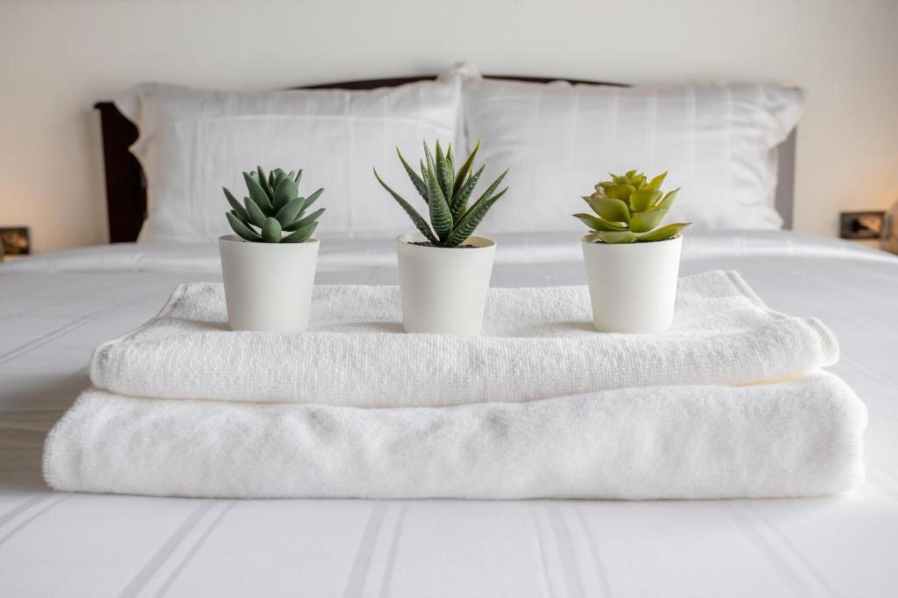 צ'יאנג מאי My Loft Hotel Sha מראה חיצוני תמונה
